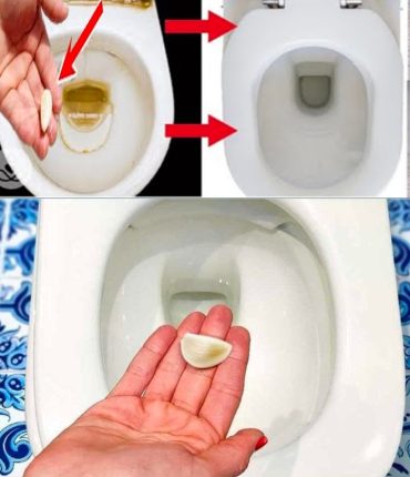 Place a Garlic Clove in the Toilet Overnight and You Won’t Be Disappointed