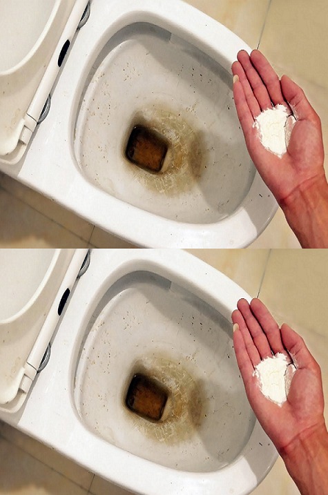 Toilet Maintenance: Inspired by 5-Star Hotels