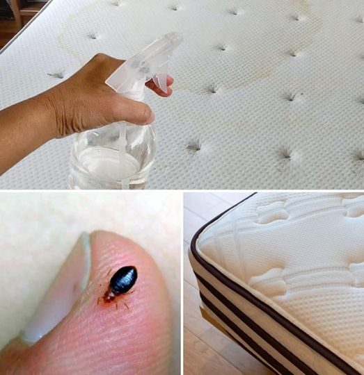 How to Naturally Clean and Disinfect Your Mattress?